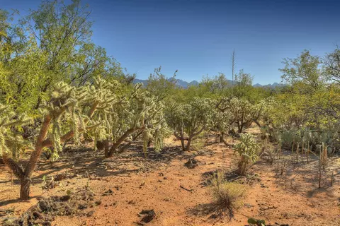 4128 E Pinal St, Tucson, AZ 85739 photo 14