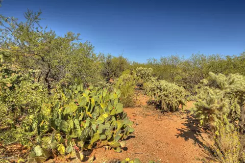 4128 E Pinal St, Tucson, AZ 85739 photo 2