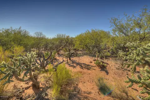 4128 E Pinal St, Tucson, AZ 85739 photo 9