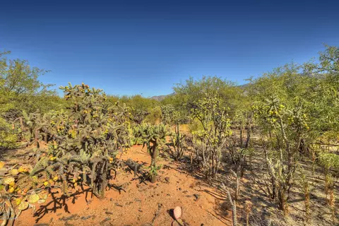 4128 E Pinal St, Tucson, AZ 85739 photo 11