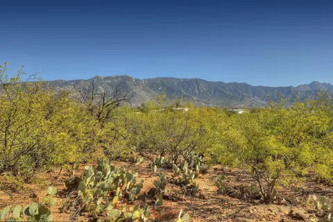 4128 E Pinal St, Tucson, AZ 85739 photo 17