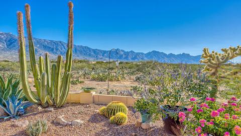 63377 E Harmony Dr, Tucson, AZ 85739 photo 7