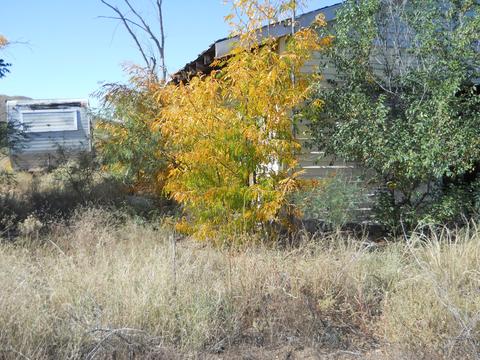 6224 E Apache Dr, Pearce, AZ 85625 photo 15