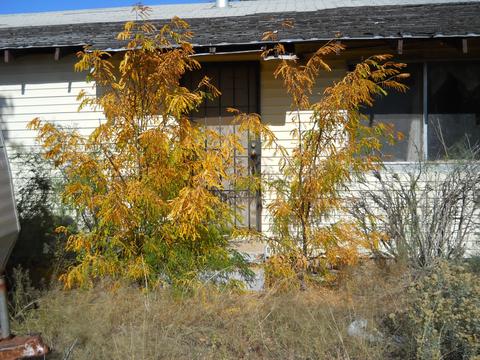 6224 E Apache Dr, Pearce, AZ 85625 photo 2