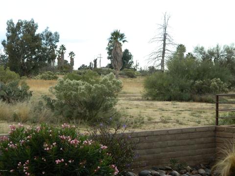 10480 E Observatory Dr, Vail, AZ 85641 photo 22
