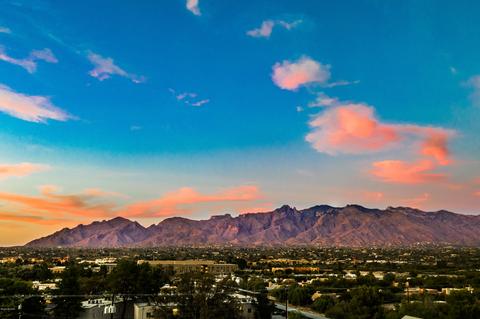 1925 E Greenlee Rd, Tucson, AZ 85719 photo 33