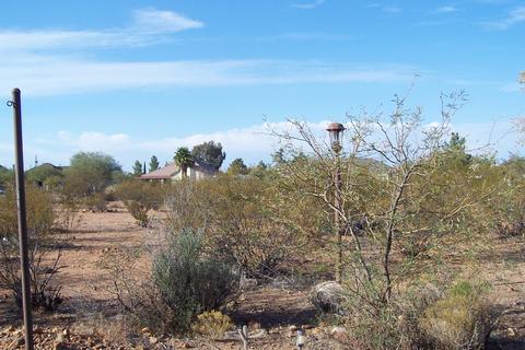 311 E Chuckwagon Loop, Safford, AZ 85546 photo 24