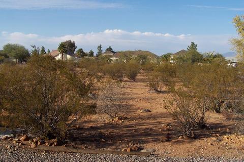 311 E Chuckwagon Loop, Safford, AZ 85546 photo 27