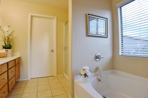 12754 E Red Iron Trl, Vail, AZ 85641 photo 25