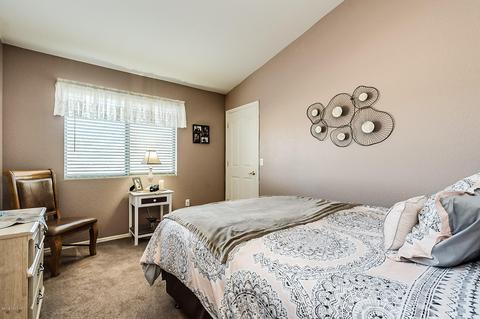 585 W Grantham St, Vail, AZ 85641 photo 16