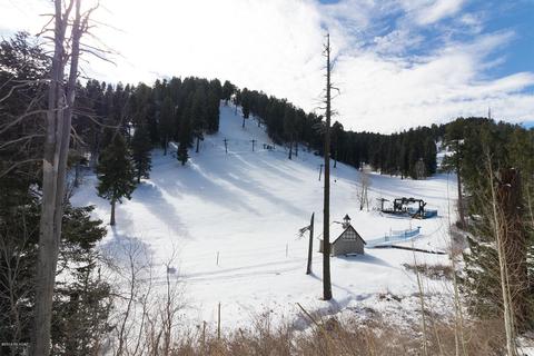 10990 E Turkey Run Rd, Mount Lemmon, AZ 85619 photo 9