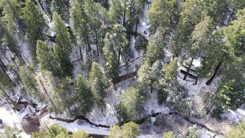 10990 E Turkey Run Rd, Mount Lemmon, AZ 85619 photo 3