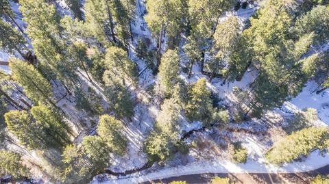 10990 E Turkey Run Rd, Mount Lemmon, AZ 85619 photo 2