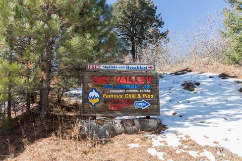 10990 E Turkey Run Rd, Mount Lemmon, AZ 85619 photo 6
