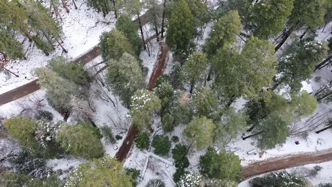 10990 E Turkey Run Rd, Mount Lemmon, AZ 85619 photo 5