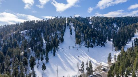 10990 E Turkey Run Rd, Mount Lemmon, AZ 85619 photo 8