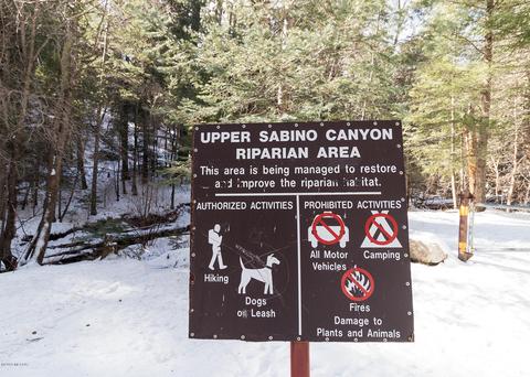 10990 E Turkey Run Rd, Mount Lemmon, AZ 85619 photo 10