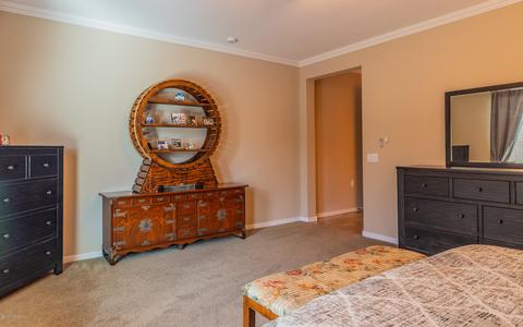 10320 S Herdic Pl, Vail, AZ 85641 photo 15