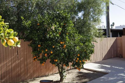 3700 E 4th St, Tucson, AZ 85716 photo 29