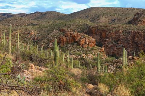 12840 E Cabeza De Vaca, Tucson, AZ 85749 photo 24