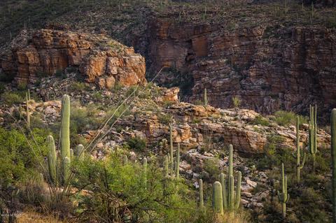 12840 E Cabeza De Vaca, Tucson, AZ 85749 photo 23