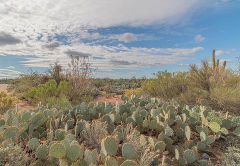 13650 E Rex Molly Rd, Vail, AZ 85641 photo 1