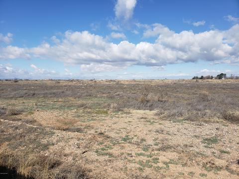 40 Ac E Sulphur Springs Rd, Willcox, AZ 85643