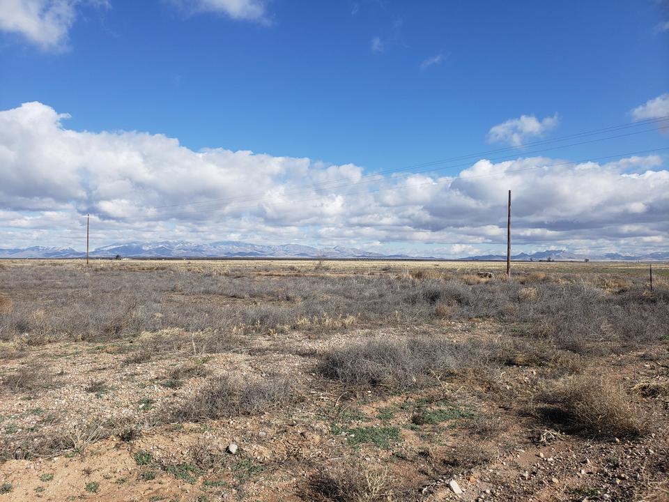  40 Ac E Sulphur Springs Rd, Willcox, AZ 85643 photo 4