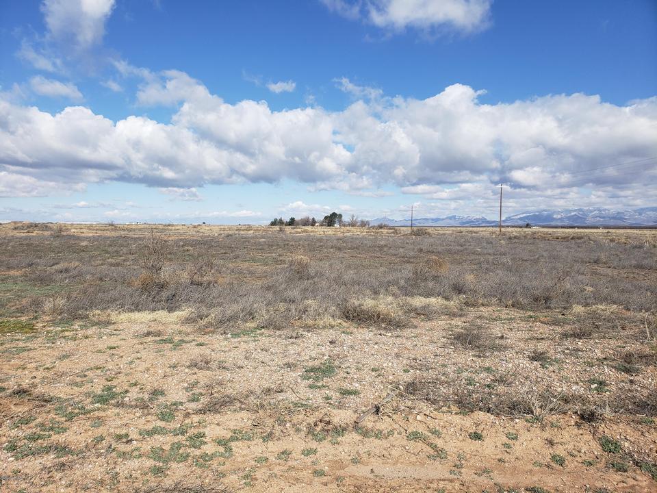  40 Ac E Sulphur Springs Rd, Willcox, AZ 85643 photo 5