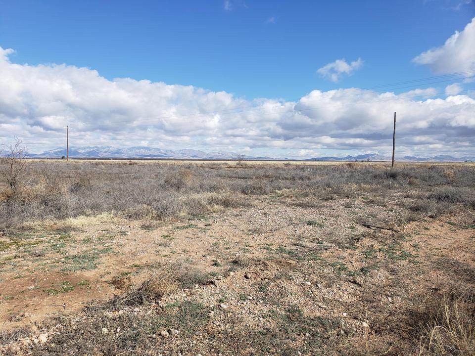  40 Ac E Sulphur Springs Rd, Willcox, AZ 85643 photo 3