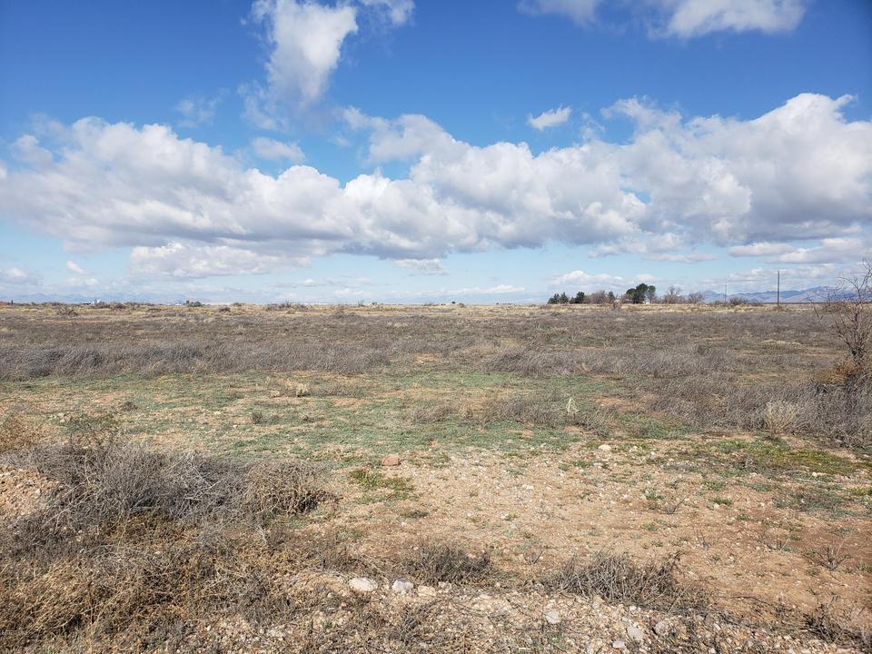  40 Ac E Sulphur Springs Rd, Willcox, AZ 85643 photo 2