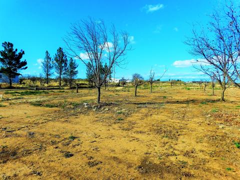 416 E Apache Way, Cochise, AZ 85606 photo 31