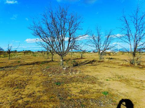 416 E Apache Way, Cochise, AZ 85606 photo 32