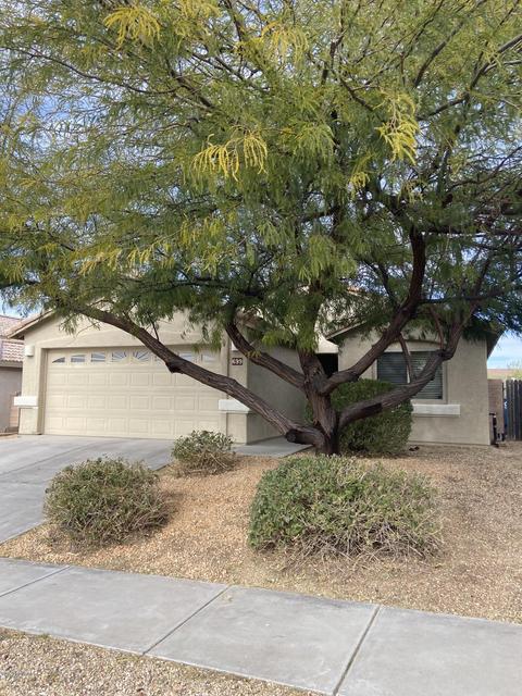 699 S Painted River Way, Vail, AZ 85641 photo 17