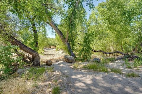 8740 E Summer Trl, Tucson, AZ 85749 photo 41