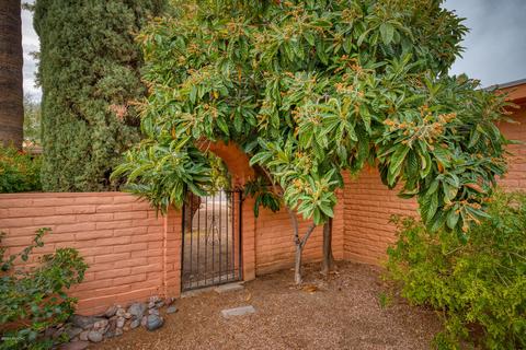 9349 E Daniel Pl, Tucson, AZ 85710 photo 38