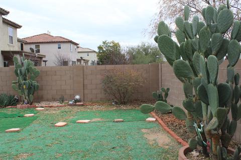 4816 E Desert Thorn Dr, Tucson, AZ 85756 photo 17