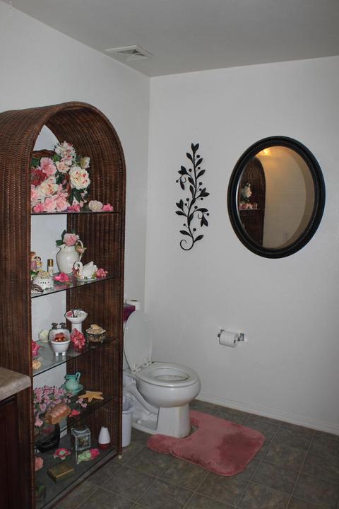 4816 E Desert Thorn Dr, Tucson, AZ 85756 photo 13