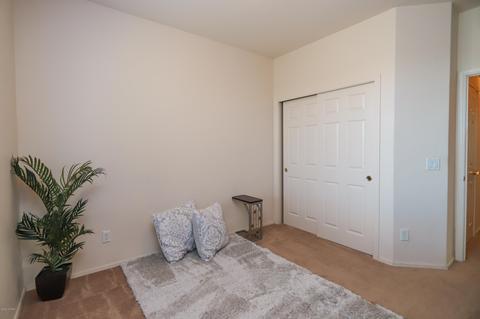 407 S Blue River Loop, Vail, AZ 85641 photo 19