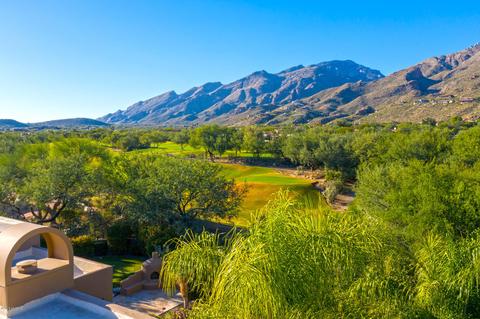 7321 E Desert Moon Loop, Tucson, AZ 85750 photo 7
