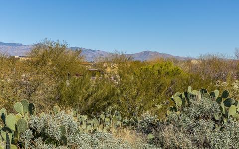 10585 E Singing Canyon Dr, Tucson, AZ 85747 photo 23