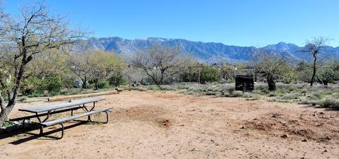 3380 E Pinal St, Tucson, AZ 85739 photo 34