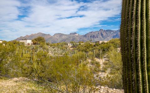 760 E Mescal Pl, Tucson, AZ 85718 photo 38