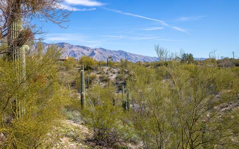 760 E Mescal Pl, Tucson, AZ 85718 photo 35