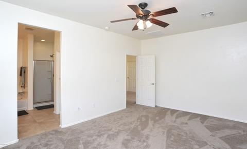 291 E Refuge Loop, Vail, AZ 85641 photo 14