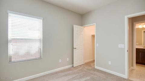 12229 E Domnitch Dr, Vail, AZ 85641 photo 35