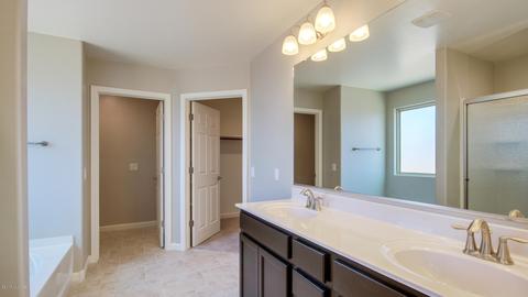 12173 E Domnitch Dr, Vail, AZ 85641 photo 29