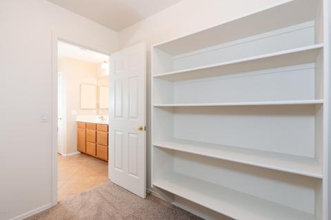 12810 E Hannah Trl, Vail, AZ 85641 photo 24