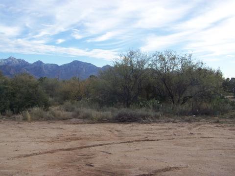 3440 Edwin Rd, Tucson, AZ 85739 photo 2