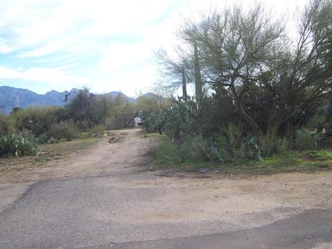 3440 Edwin Rd, Tucson, AZ 85739 photo 9